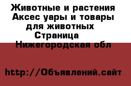 Животные и растения Аксесcуары и товары для животных - Страница 2 . Нижегородская обл.